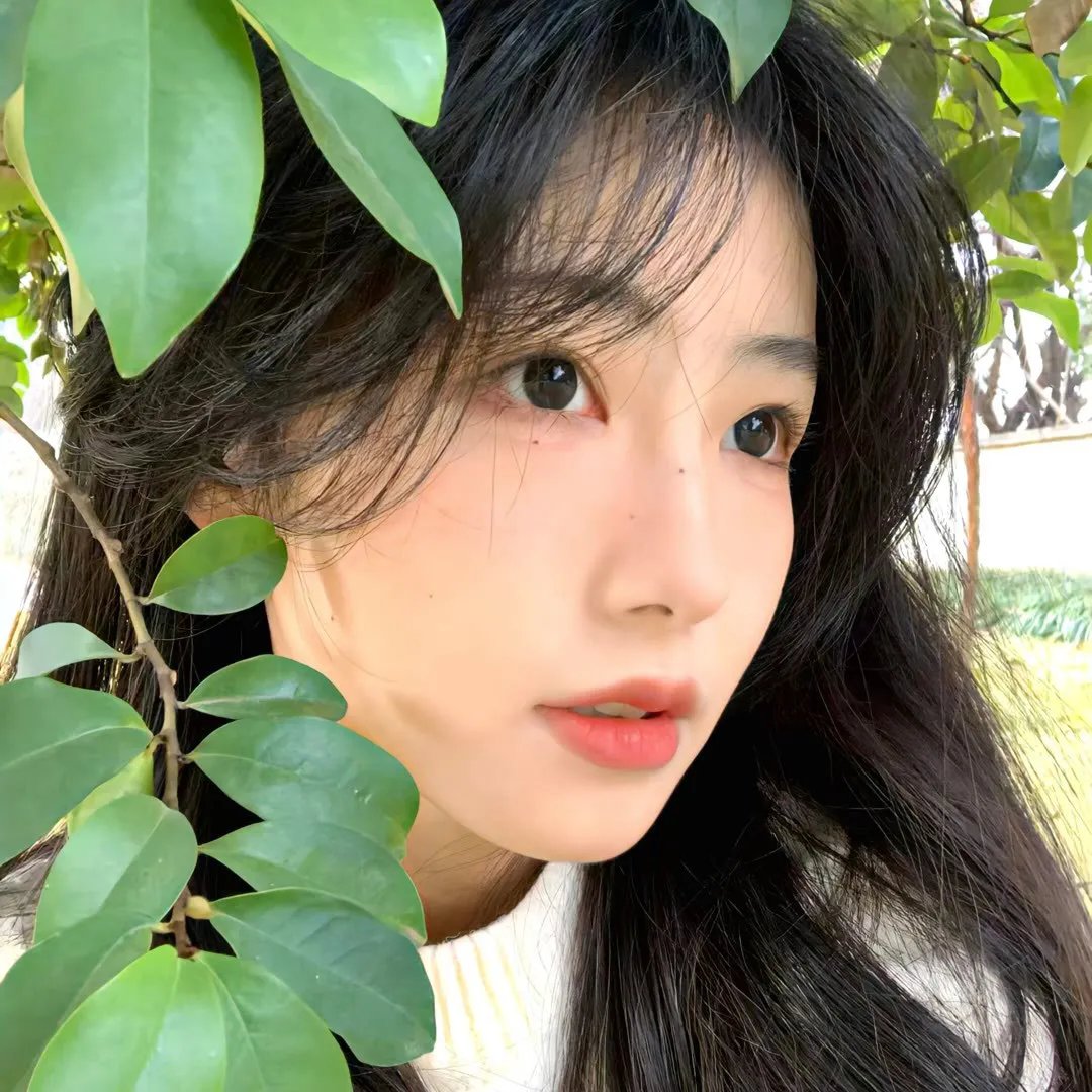 暗影王冠